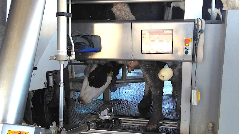 Robots que ordeñan vacas la inteligencia artificial también crece en