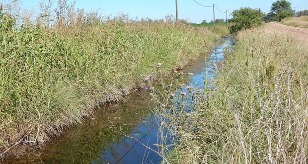 La cuneta casi repleta de agua producto de la perdida