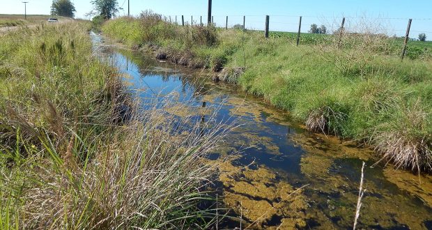 La cuneta esta repleta y el agua esta estancada ya que no tiene salida, un alcantarillado a pocos metros esta tapado