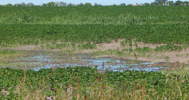 Un bajo tambien esta siendo inundado, en el fondo los loteos de la localidad de El Provincial