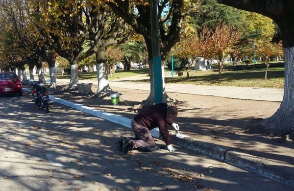 Obras de mantenimiento en Plaza de Dudignac