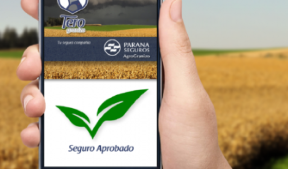 Ahora el productor agropecuario puede acceder a su seguro agricolas desde su celular