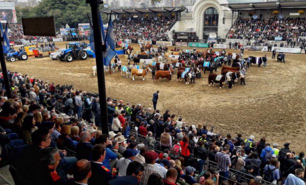 Publico presente y los grandes campeones de las distintas razas en la pista central de Palermo