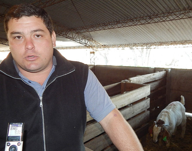 Carlos Greco resalto el presente de la producción ovina – foto archivo