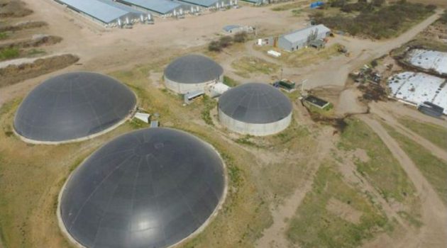 Digestores donde se genera el biogas – foto ACA