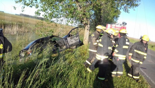 El automovil impacto contra una planta y a metros de caer a una zanja con agua