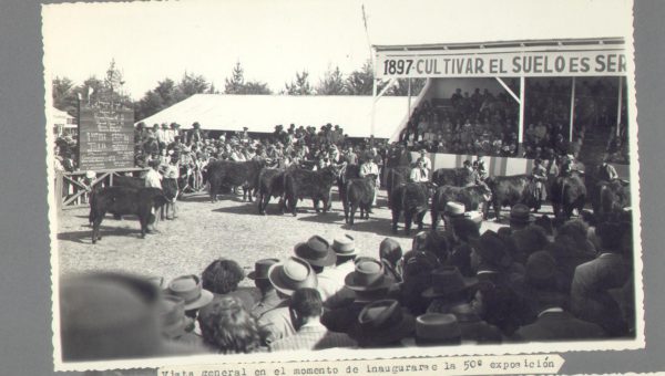 Inauguracion de 50 Exposición rural de Sociedad Rural de 9 de Julio- Foto Hector Iaconis