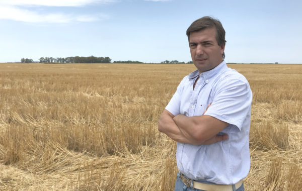 Pablo Baloriani en el el lote luego de cosechado el trigo