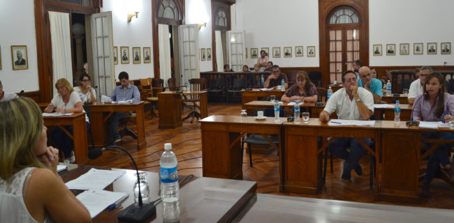 Instancia en la Concejal Dramisino defiende el proyecto sobre tarifas en el HCD