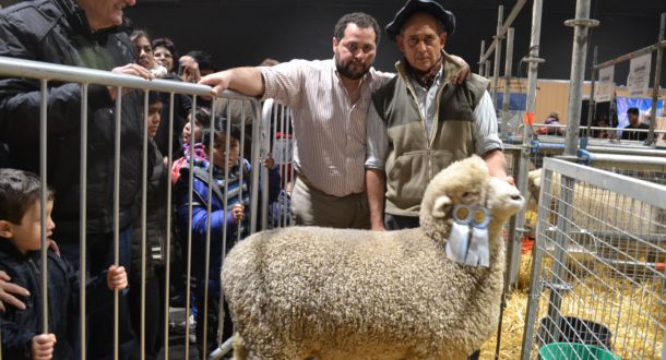 Los Giuliodoro, junto a la Gran Campeona Romney de Palermo, son tercera generación como productores ovinos