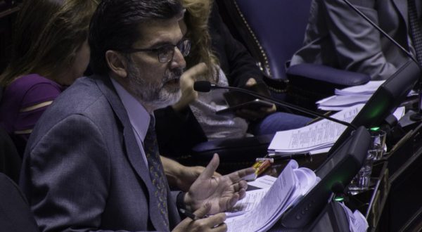 Jorge Silvestre durante una de sus intervenciones en la Camara baja – foto archivo