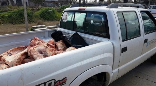 Carne porcina decomisada por Senasa