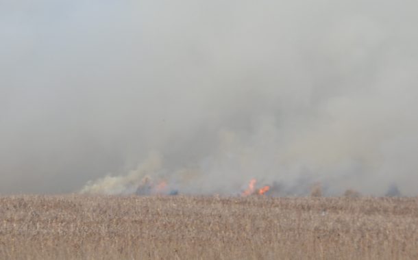 Incendio de pastizales en un campo en cercanias de ruta 65