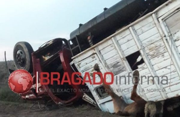 El camion con los equinos atrapados