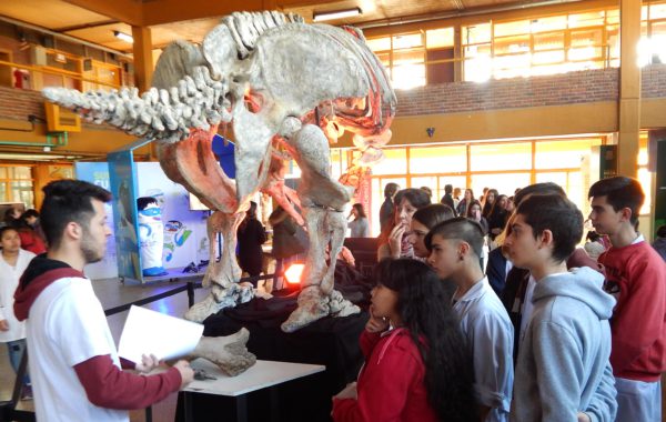 Un grupo de alumnos se informa sobre la paleontologia en Argentina