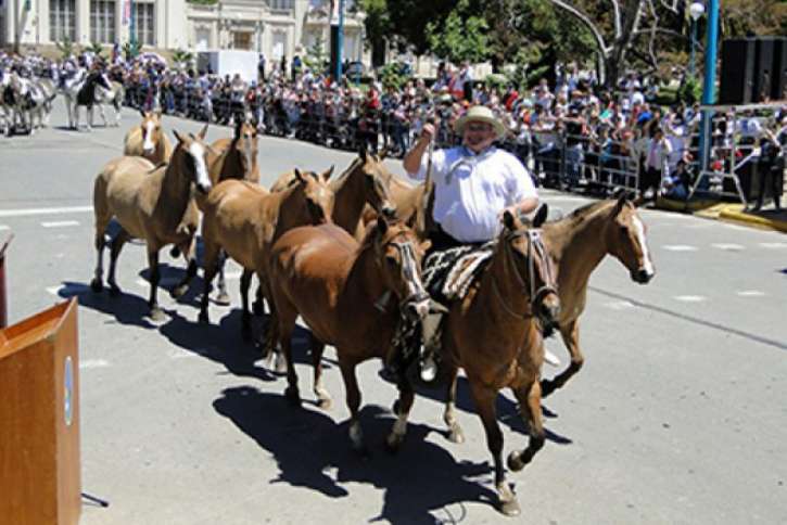 El 163° Aniversario de 9 de Julio, trae consigo nuevamente el Desfile criollo y de instituciones a la ciudad
