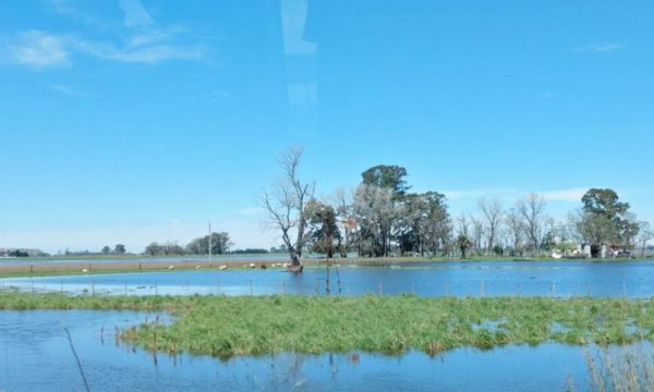 Campo en 25 de Mayo luego de las lluvias