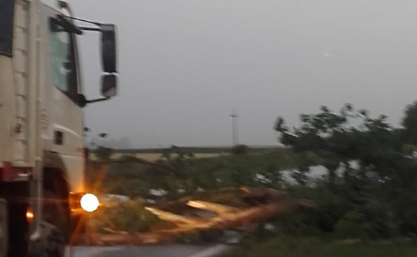 Un transportes detiene su marcha en Zavalia ante la caida de arboles en la cinta asfaltica