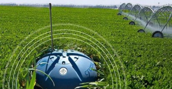 Sensores de la agricultura 4.0