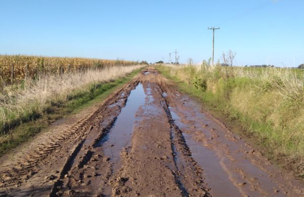 Camino Rural en cercanias de Fauzon el cual se hace cada vez mas angosto