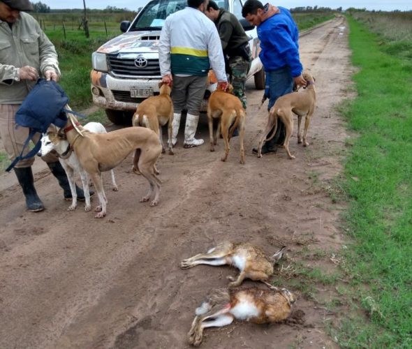 El CPR 9 de Julio intercepto cazadores con perros
