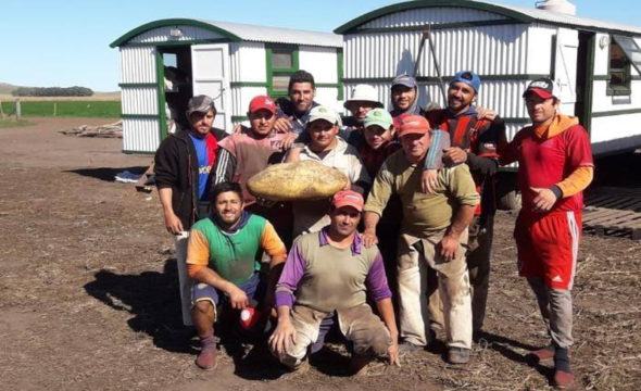 Garcia y los cosecheros junto a la sorpresiva papa