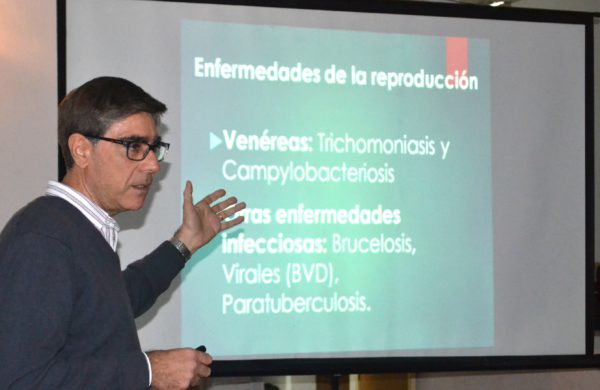 Dr Julio Caione describio cuales son las causas de las perdidas en terneros