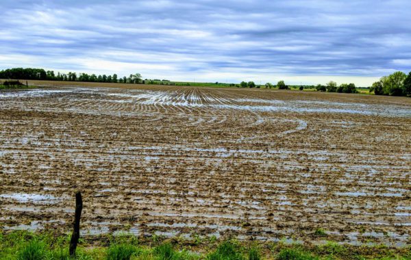 Las labores agricolas en Estados Unidos se ven retrasadas