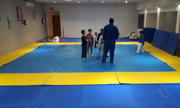 Tatami que se adquirio por parte del Judo de San Martin