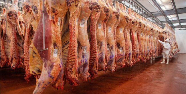 Buenos Aires lidera la exportacion de carnes bovinas
