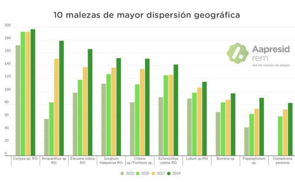 Grafico 1