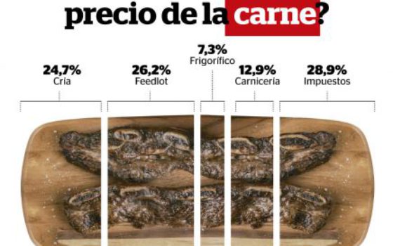 Asi se forma el precio del corte de carne