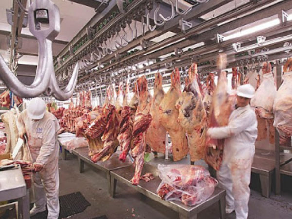Produccin de carne bovina en el primer cuatrimestre 2020 – foto archivo web