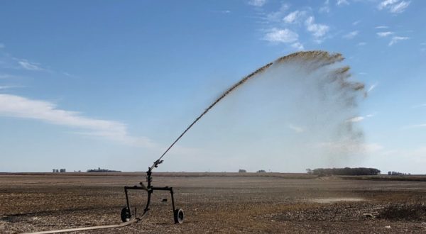 Fertilizacion con efluentes- foto INTA Informa