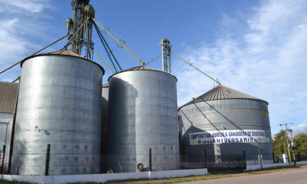 Planta de Acopio en Dudignac