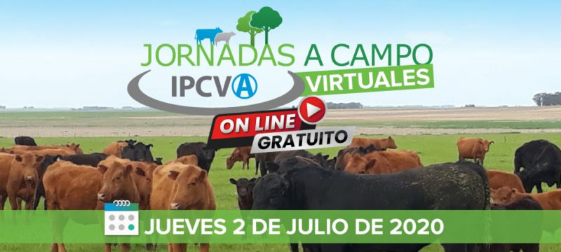Porxima Jornada on line de IPCVA es el 2 de julio