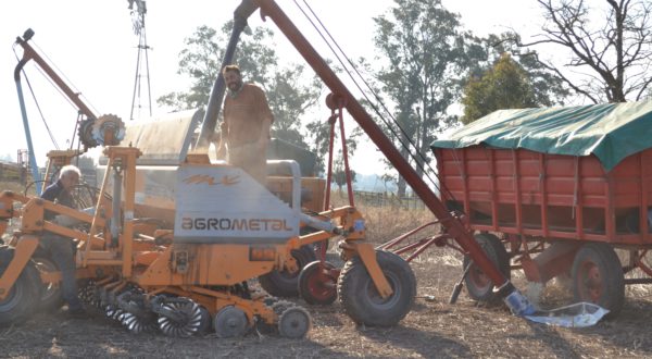 Roberto Viola y su padre este miercoles preparando la sembradora para salir al lote con la siembra de trigo