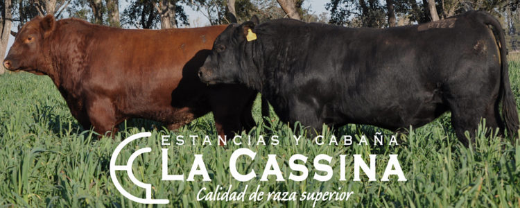 Reproductores de La Cassina