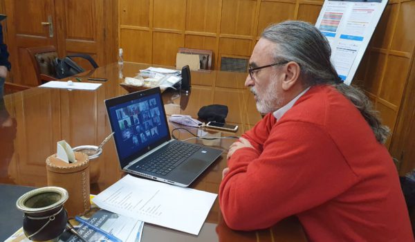 Basterra durante la reunion virtual con CEEA