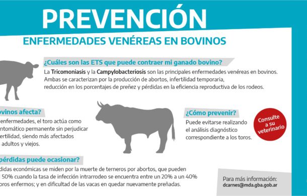Prevención de ETS en bovinos