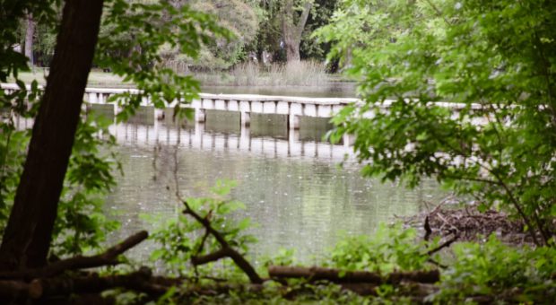 Imagen tomada del Parque desde el interior de la Isla