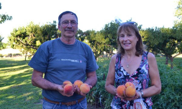 Rodolfo y Maria Lujan felices con su cosecha de duraznos