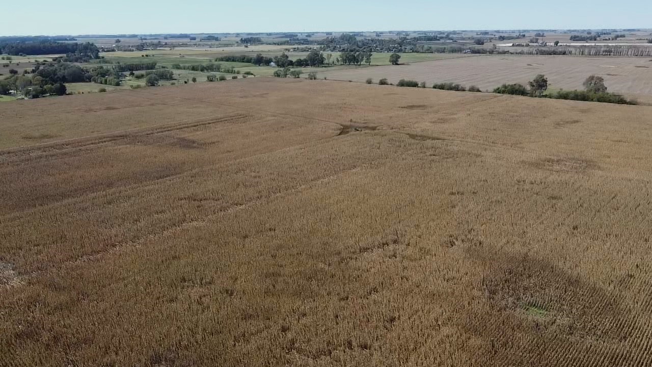 El gobierno no consiguió los votos y tuvo que retirar el capítulo de extranjerización de tierras