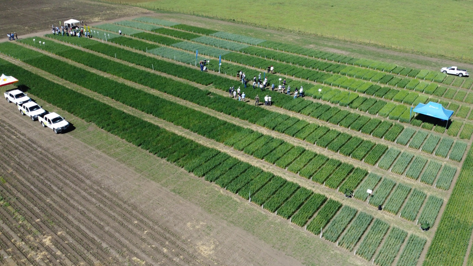 AAPPCE, la entidad que se potencia en el objetivo de hacer una agricultura mas eficiente, sustentable y rentable