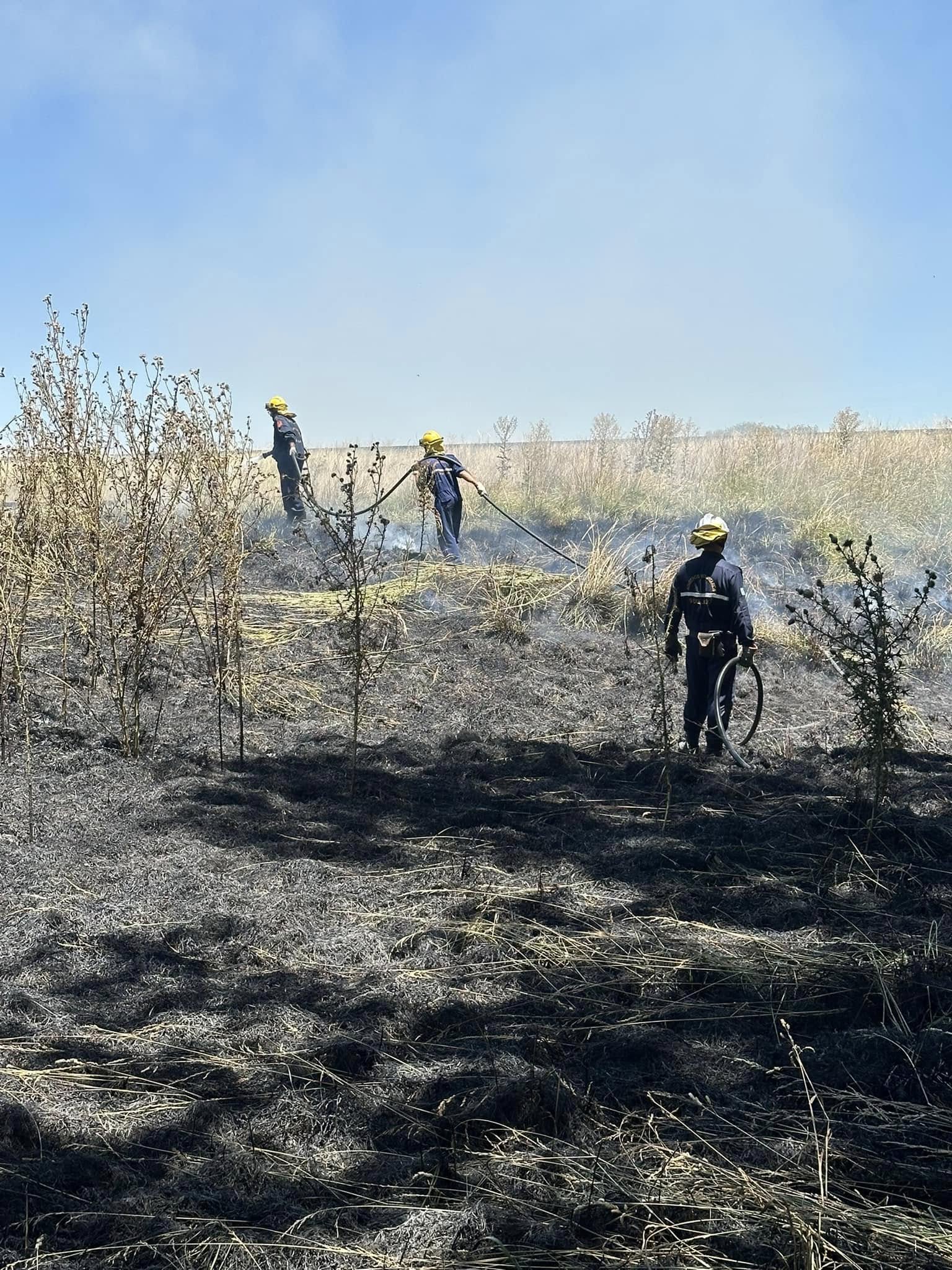 Bomberos Voluntarios 9 de Julio asistieron en tan solo tres días a 10 incendios forestales. Preocupa la situación de pastizales en las rutas