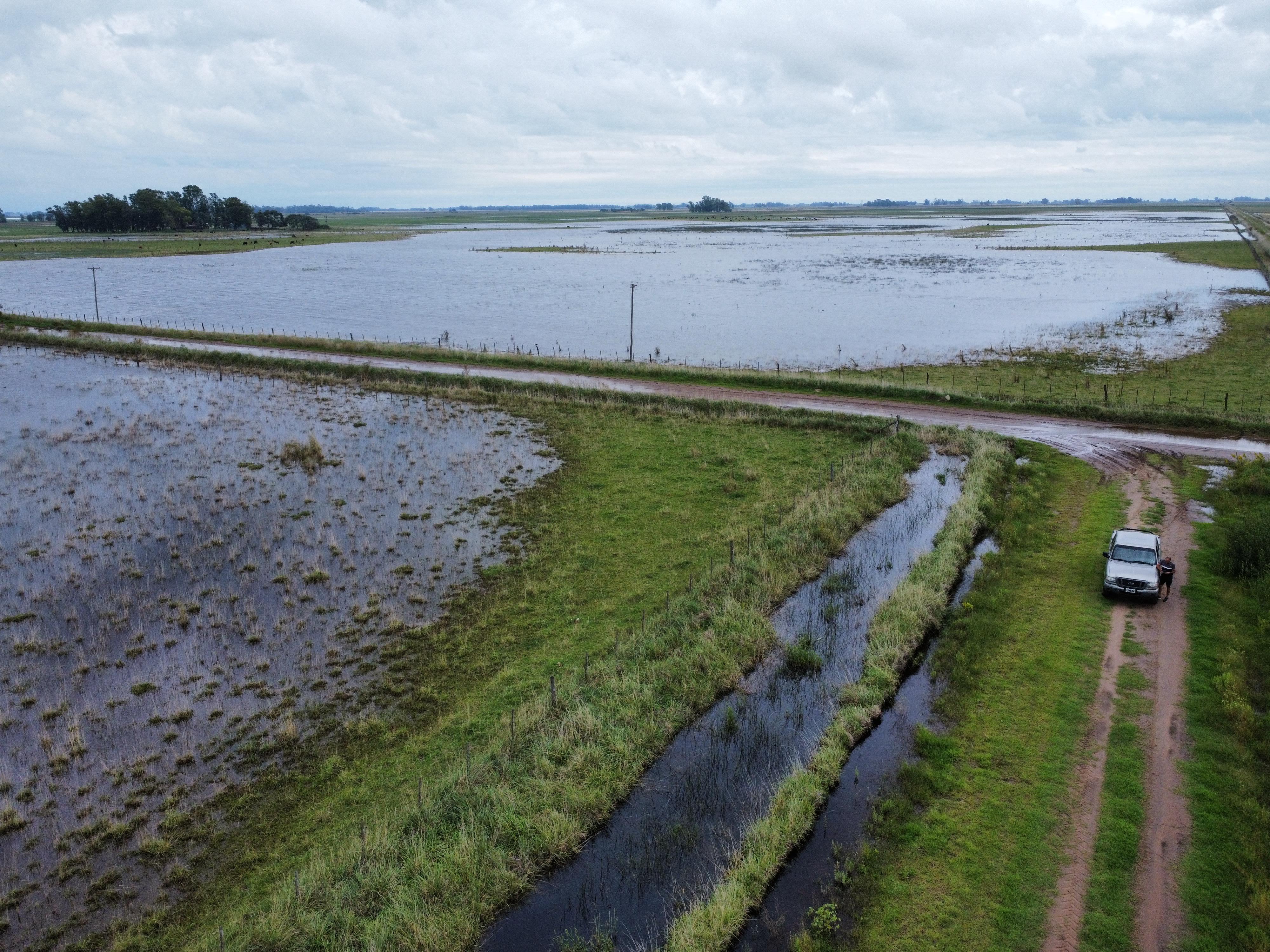 Impacto de las lluvias en los cultivos del norte y oeste bonaerense