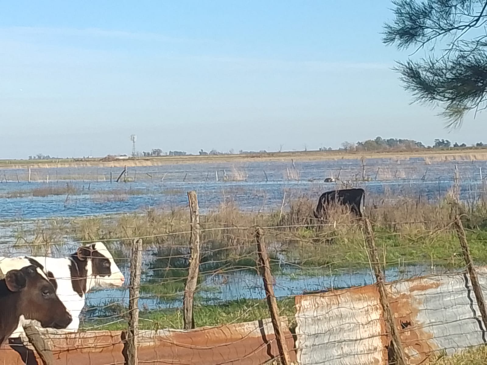 Empatía Cero: En Quiroga una productora rural denuncio que taparon un alcantarillado y le inundan el campo