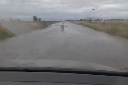 Bomba de agua: las lluvias muy intensas ya dejaron importantes anegamientos y se frena la cosecha