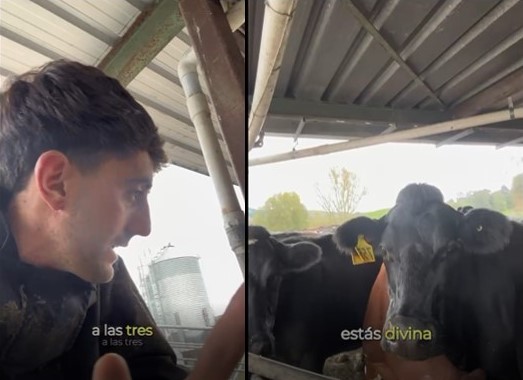 Sueño cumplido: Tobias Catuongo, vive una experiencia laboral en un tambo de Nueva Zelanda