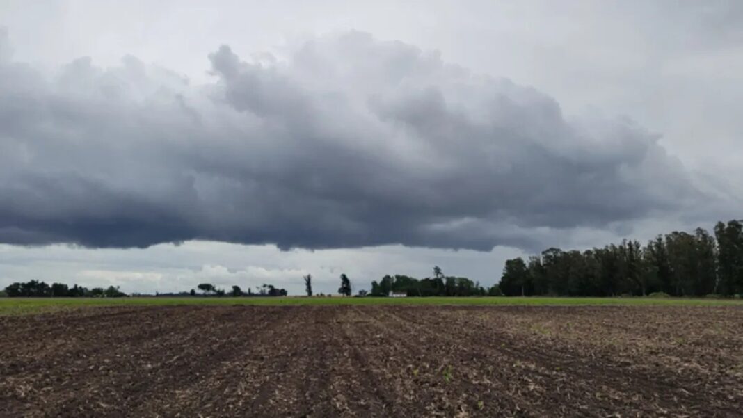 Panorama agroclimático semanal: Que escenarios puede entregar la tormenta de Santa Rosa